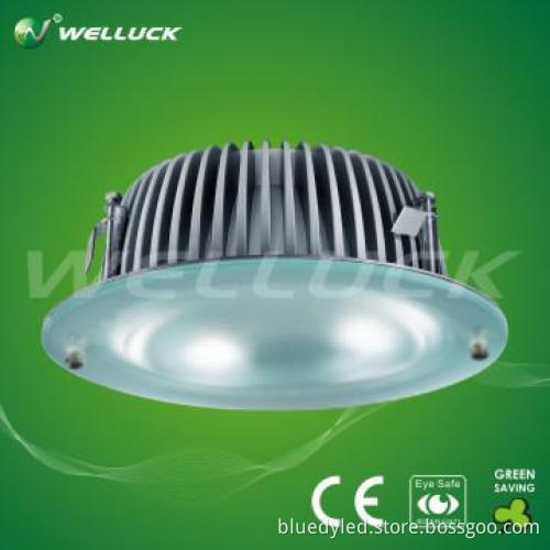 8 inch LED Down light